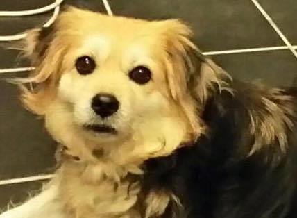 10888682_790008567738513_1401126252549370161_n