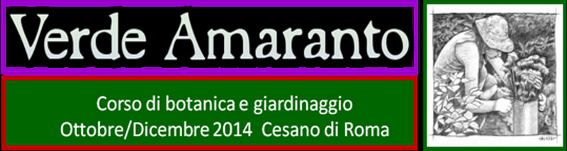 15346714915_de1a839539_c