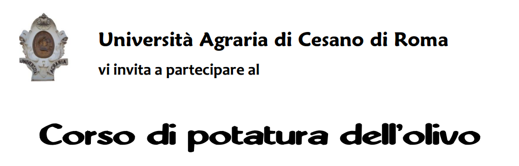 17311067_1854667824804761_9127609364163388218_o copia