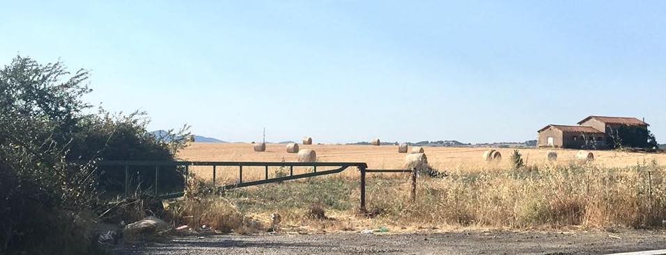 19424176_10210846887202744_3107263527711709619_n