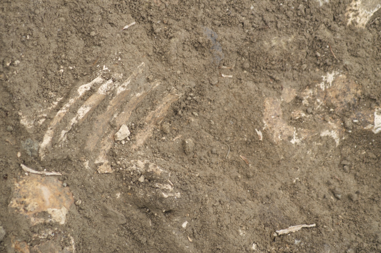 Scavi archeologici davanti a San Nicola