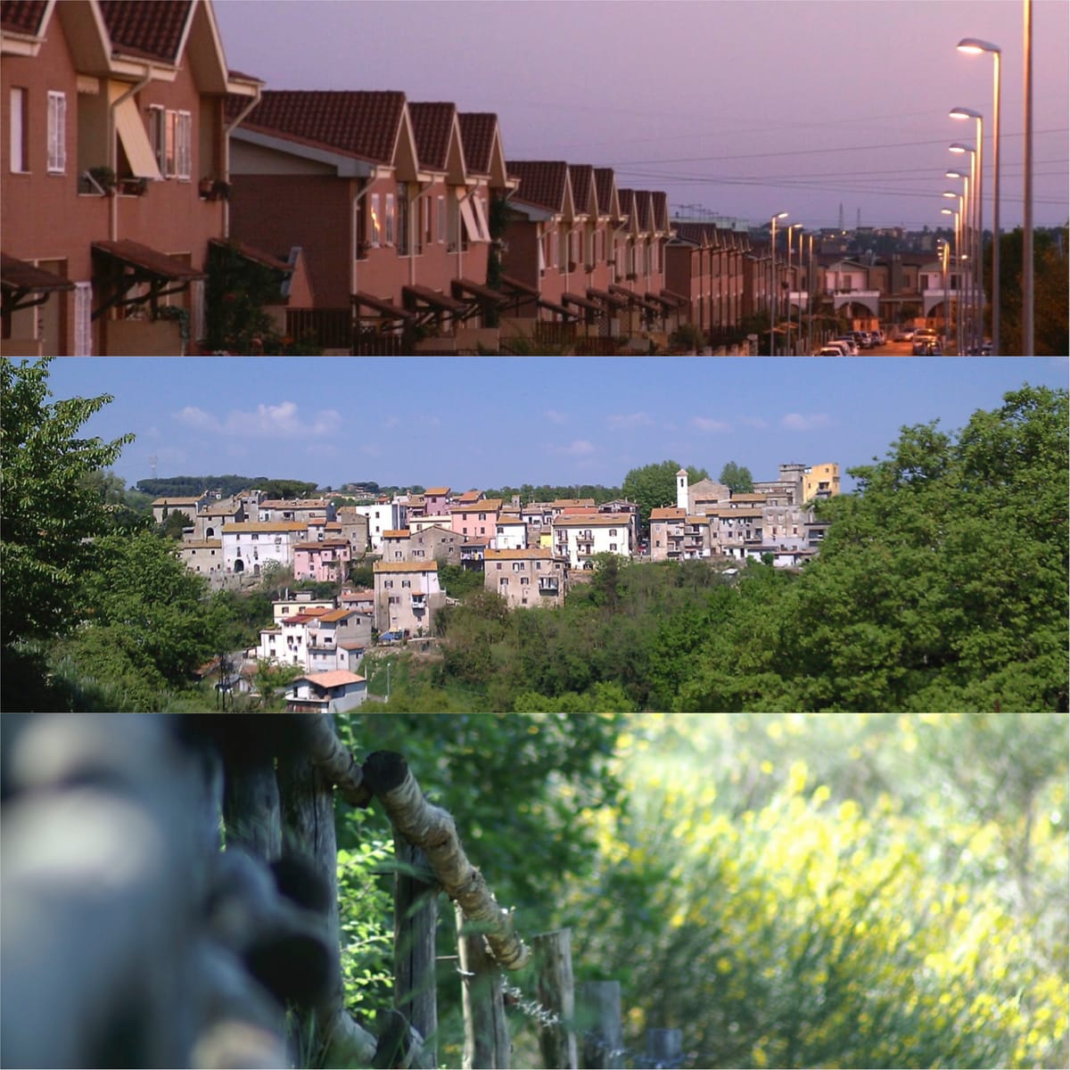 Insieme per Cesano - CdQ - sabato 14 ore 15