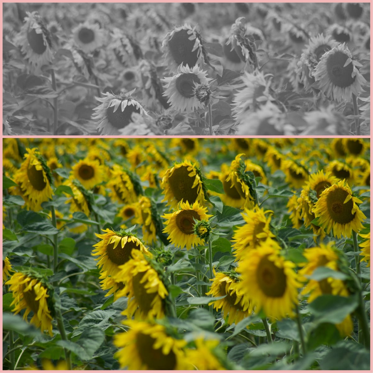 Per avere voce in capitolo...