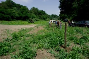 Fervono i preparativi per la Festa del Ss. Crocifisso