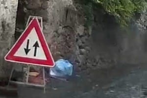 Ma veramente sappiamo differenziare?