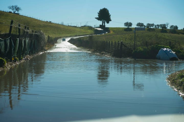 Alsietino, Sabatino e... "Corazzino"