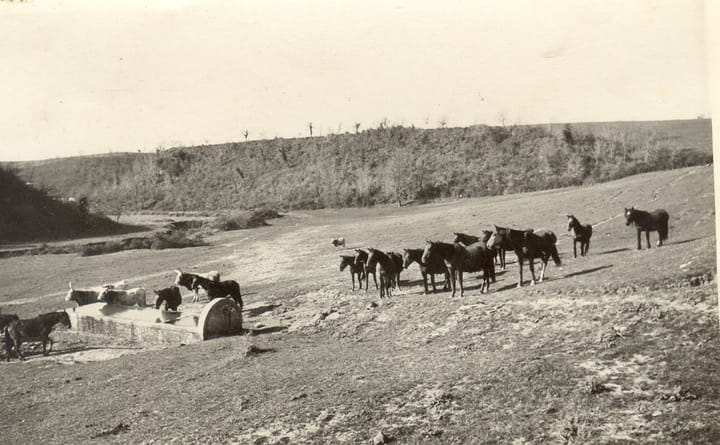 I fontanili di Cesano