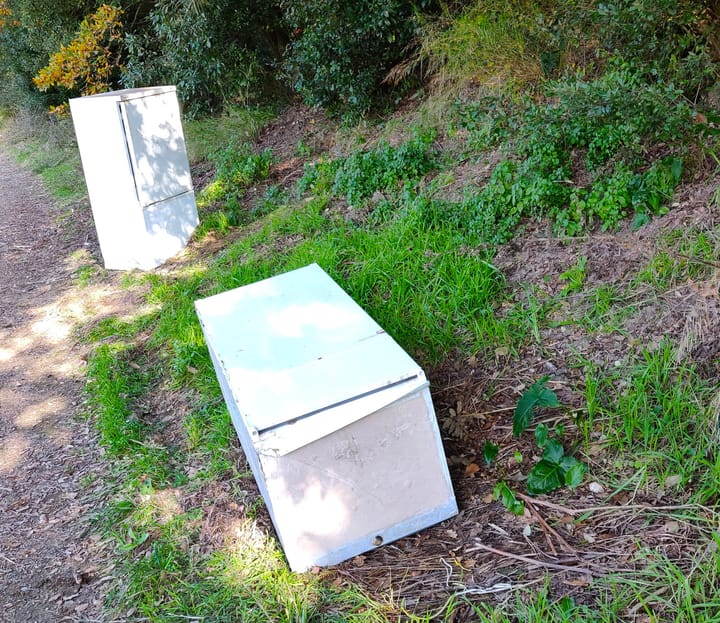 Raccolta straordinaria a Cesano