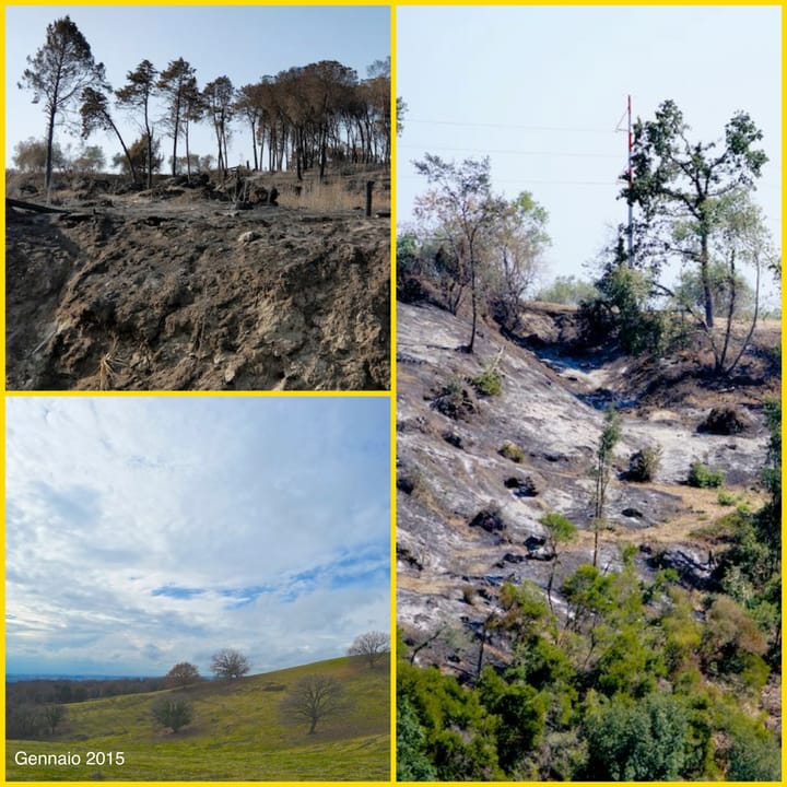 La nostra fauna dev'essere protetta